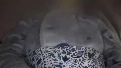 Snapshot of kissandtell1357 chatting on 10/24/25, 06:48 kissandtell1357 online show from 10/24/25, 06:48