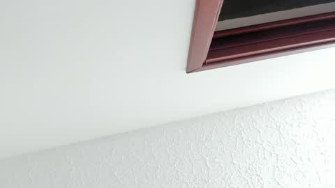 Sara online show from 02/27/26, 12:16