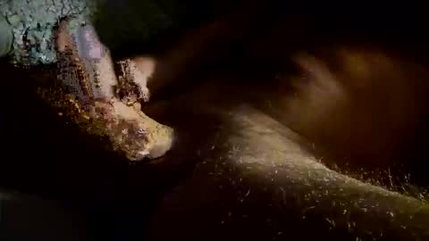 Kitkat loco online show from 11/04/25, 07:40