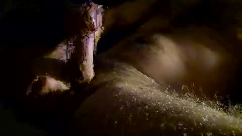 Kitkat loco online show from 11/28/25, 01:14