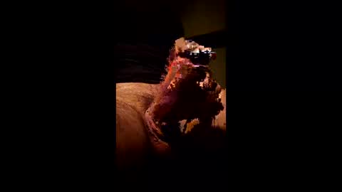 Kitkat loco online show from 01/11/26, 08:36