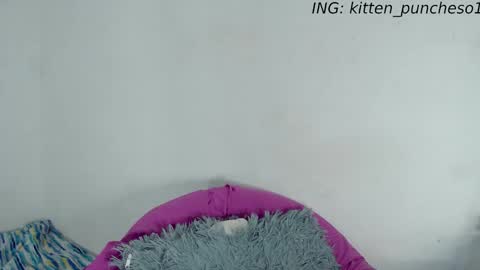 kitten_punches01 online show from 09/28/25, 02:39