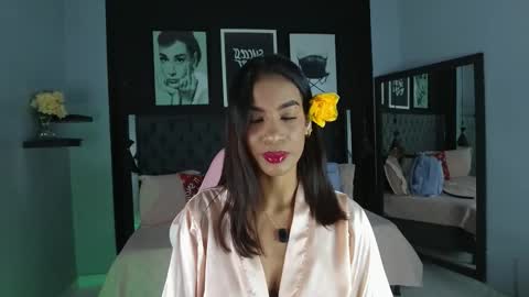 Kitty online show from 11/24/25, 11:54