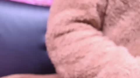 Kitty online show from 10/23/25, 02:22