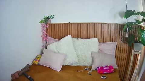 K I T T Y   online show from 02/04/26, 08:14