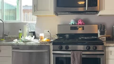 kittypurr79 online show from 04/04/26, 10:51