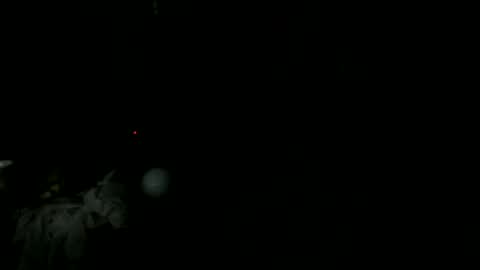 knight_rider118 online show from 03/11/25, 09:24