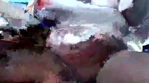 kniteprincess online show from 05/17/26, 05:53