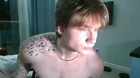 Snapshot of knotsiemens chatting on 02/12/26, 03:29 Adam online show from 02/12/26, 03:29