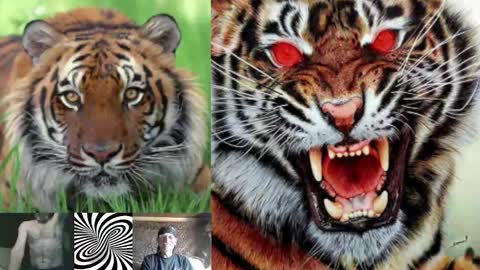 Snapshot of kodiakpm1 chatting on 02/01/25, 07:15 kodiakpm1 online show from 02/01/25, 07:15