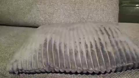 koelie1982 online show from 01/22/25, 01:10