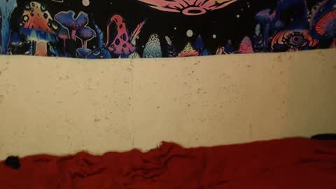 Snapshot of konekokawai chatting on 02/12/25, 01:41 konekokawai online show from 02/12/25, 01:41