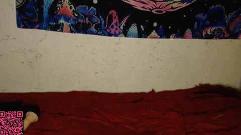 Snapshot of konekokawai chatting on 02/13/25, 11:15 konekokawai online show from 02/13/25, 11:15