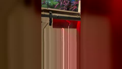 korysmith568 online show from 02/20/26, 03:25