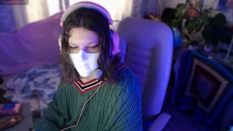 fancy cat online show from 12/01/25, 08:19