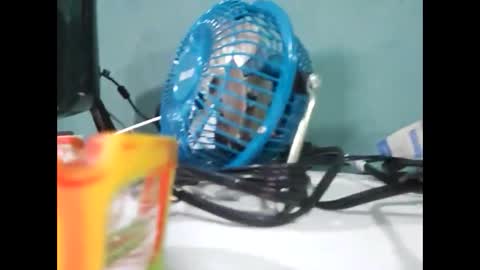 Snapshot of koto420 chatting on 12/31/24, 03:01 Koto Bombon online show from 12/31/24, 03:01