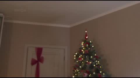 Kottyaa cb FOLLOWING  online show from 01/30/25, 10:19