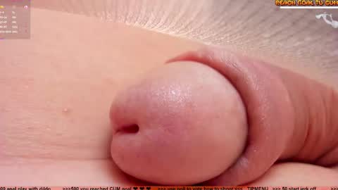 Petra online show from 01/14/26, 08:03