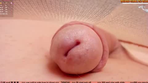 Petra online show from 02/19/26, 08:05