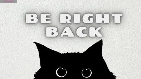   online show from 04/01/26, 04:46