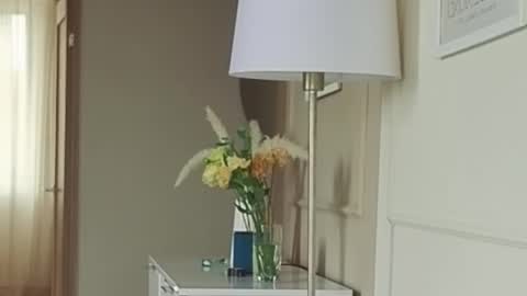 Kristi online show from 09/13/25, 05:18