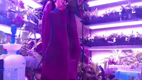 krookedorchid online show from 10/30/25, 10:06