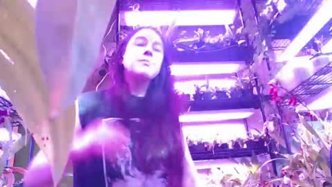 krookedorchid online show from 11/01/25, 02:52