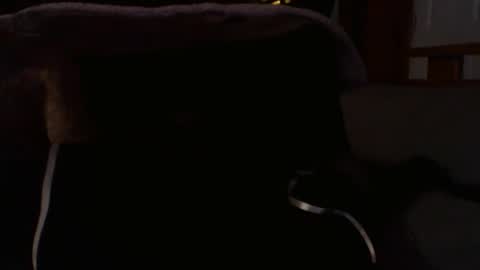 kshies4220 online show from 01/09/26, 05:32