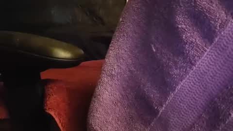 Kubish online show from 06/01/26, 03:58