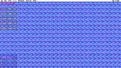Snapshot of kuntboyzworld chatting on 07/25/26, 07:00 Krypto hethey online show from 07/25/26, 07:00