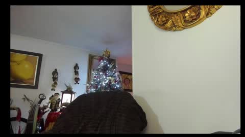 Snapshot of kyhara chatting on 12/23/24, 01:51 kyhara online show from 12/23/24, 01:51