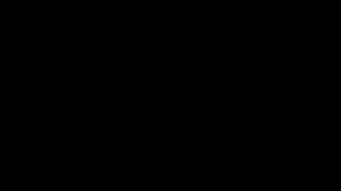 kylie_bloom online show from 10/31/25, 06:20