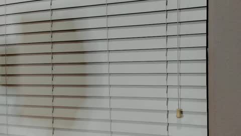 Kylie online show from 01/14/26, 04:07