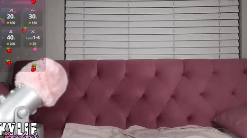 Snapshot of kylieboudoir chatting on 02/18/25, 05:20 Kylie Boudoir online show from 02/18/25, 05:20