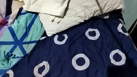 Snapshot of l0c0fundias chatting on 09/13/25, 07:08 l0c0fundias online show from 09/13/25, 07:08