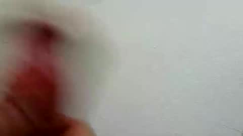 l0cean online show from 02/26/26, 03:16