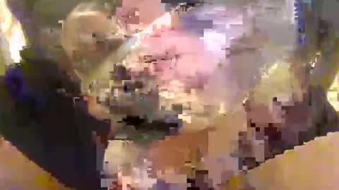 Snapshot of l0ngjohnsilv3er chatting on 10/16/25, 04:52 l0ngjohnsilv3er online show from 10/16/25, 04:52