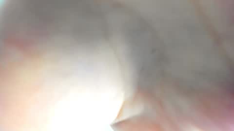 Ameli online show from 11/15/25, 08:00