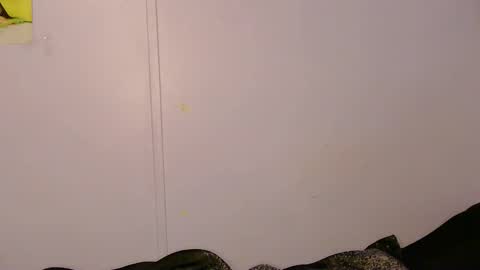 Snapshot of l1lybaby chatting on 05/05/26, 09:17 Lily online show from 05/05/26, 09:17