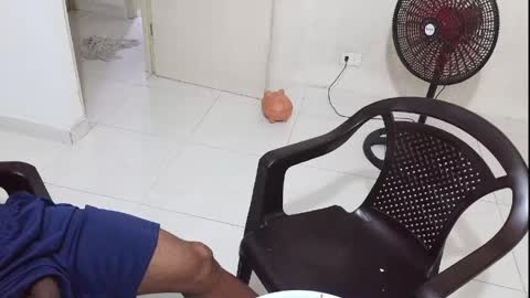 Bruno Smith online show from 06/02/26, 04:14