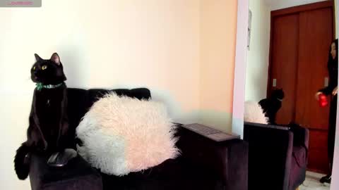 lace_victoria online show from 01/07/26, 06:54