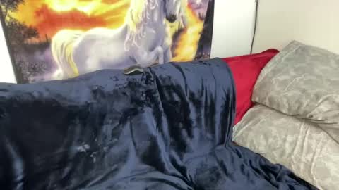 Snapshot of lacy8vankort chatting on 02/08/25, 08:53 Lacy8Vankort online show from 02/08/25, 08:53