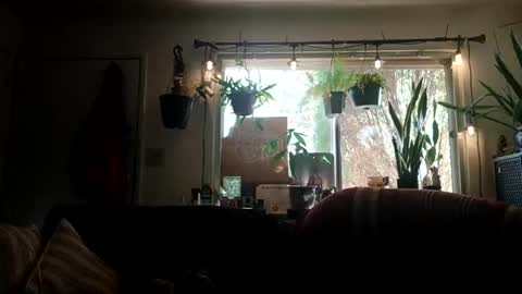 lacybell online show from 09/21/25, 10:11