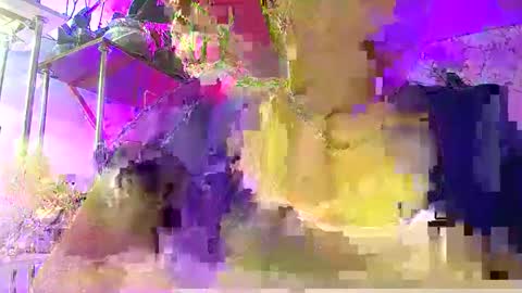 Lady Gloria online show from 01/07/26, 06:05