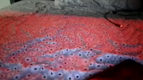 Stephanie online show from 12/15/25, 01:54