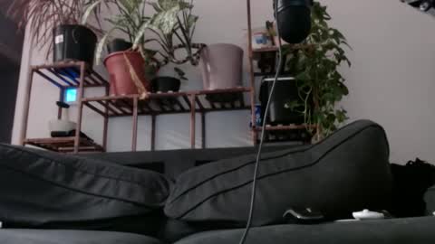 Snapshot of laidback_and_chill chatting on 12/11/24, 08:26 Rick online show from 12/11/24, 08:26