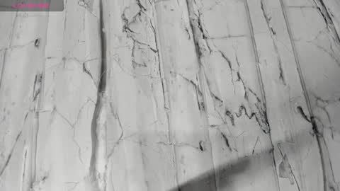 laiily bell online show from 02/24/26, 12:25