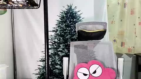 Snapshot of lailai6699 chatting on 09/12/25, 05:02 lailai6699 online show from 09/12/25, 05:02