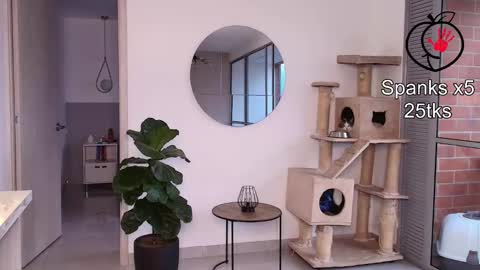 Laira online show from 02/11/26, 10:48