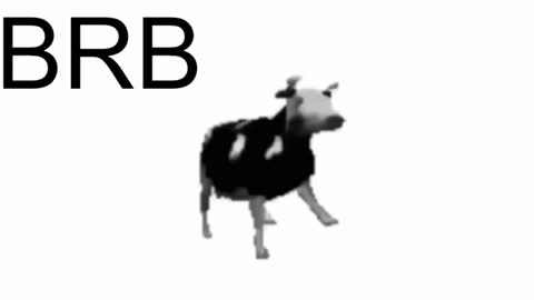 just call me Lana  and her security online show from 01/23/25, 02:28